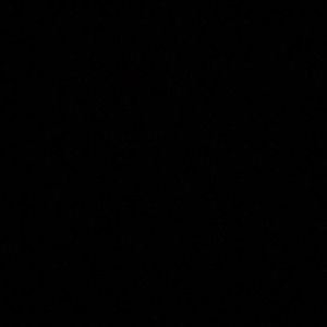 Meet your Posher, Josye